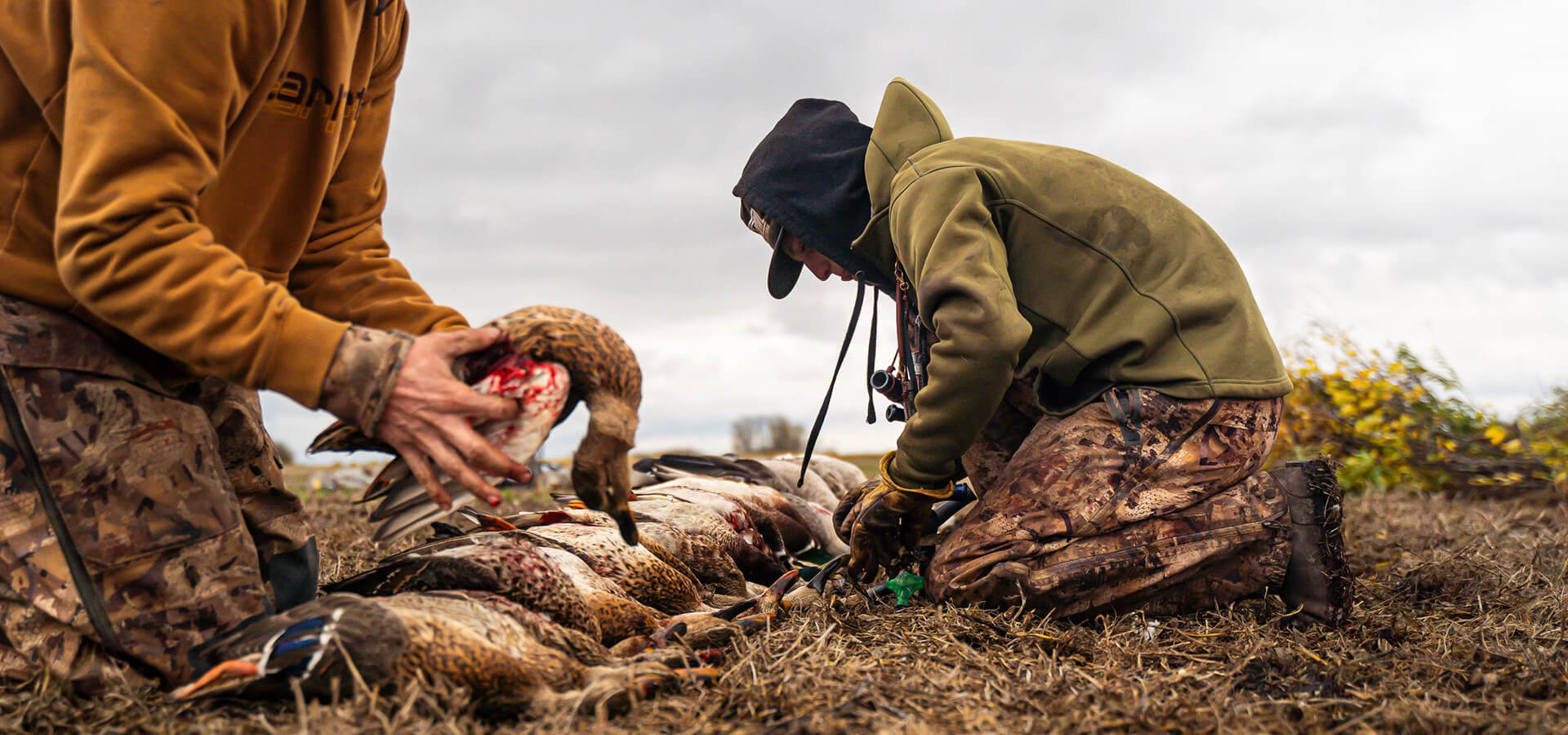 Duck Hunts in Canada Duck Hunts in Canada