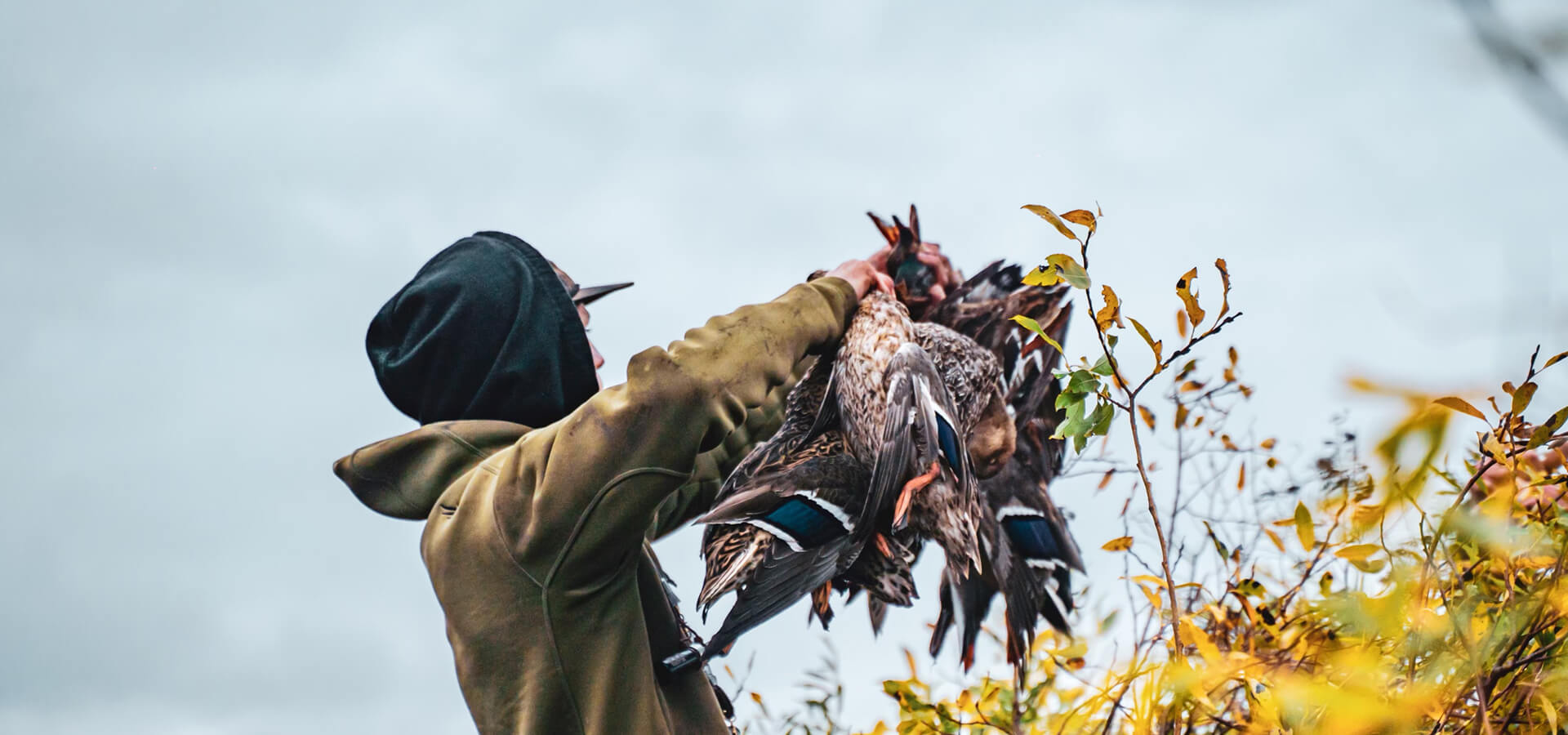 Commonly Asked Questions