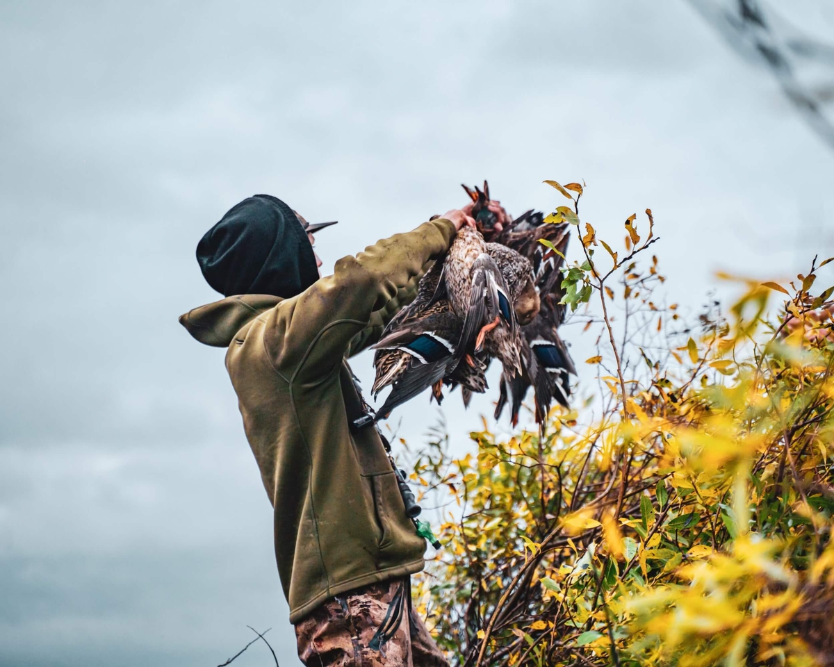 Duck Hunts Canada